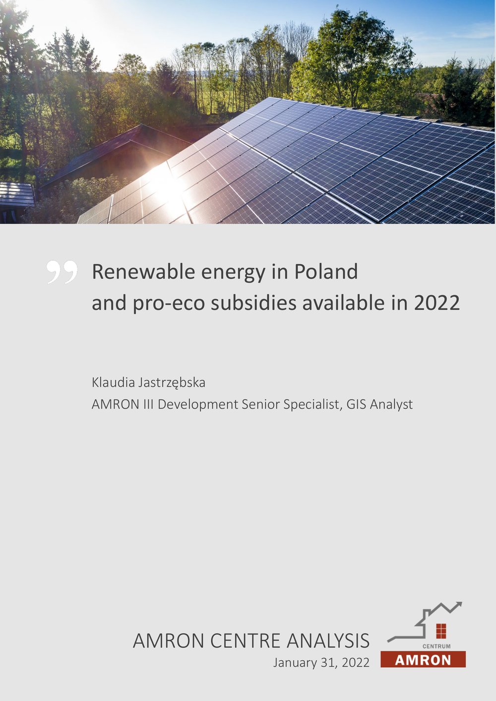 Renewable energy in Poland and pro-eco subsidies available in 2022