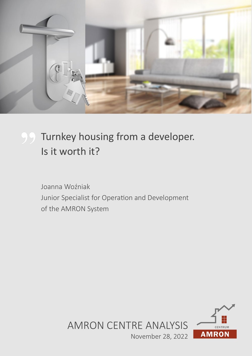 Turnkey housing from a developer. Is it worth it?